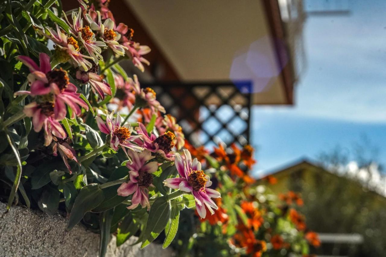 Agriturismo La Rocca San Bartolomeo Al Mare Luaran gambar