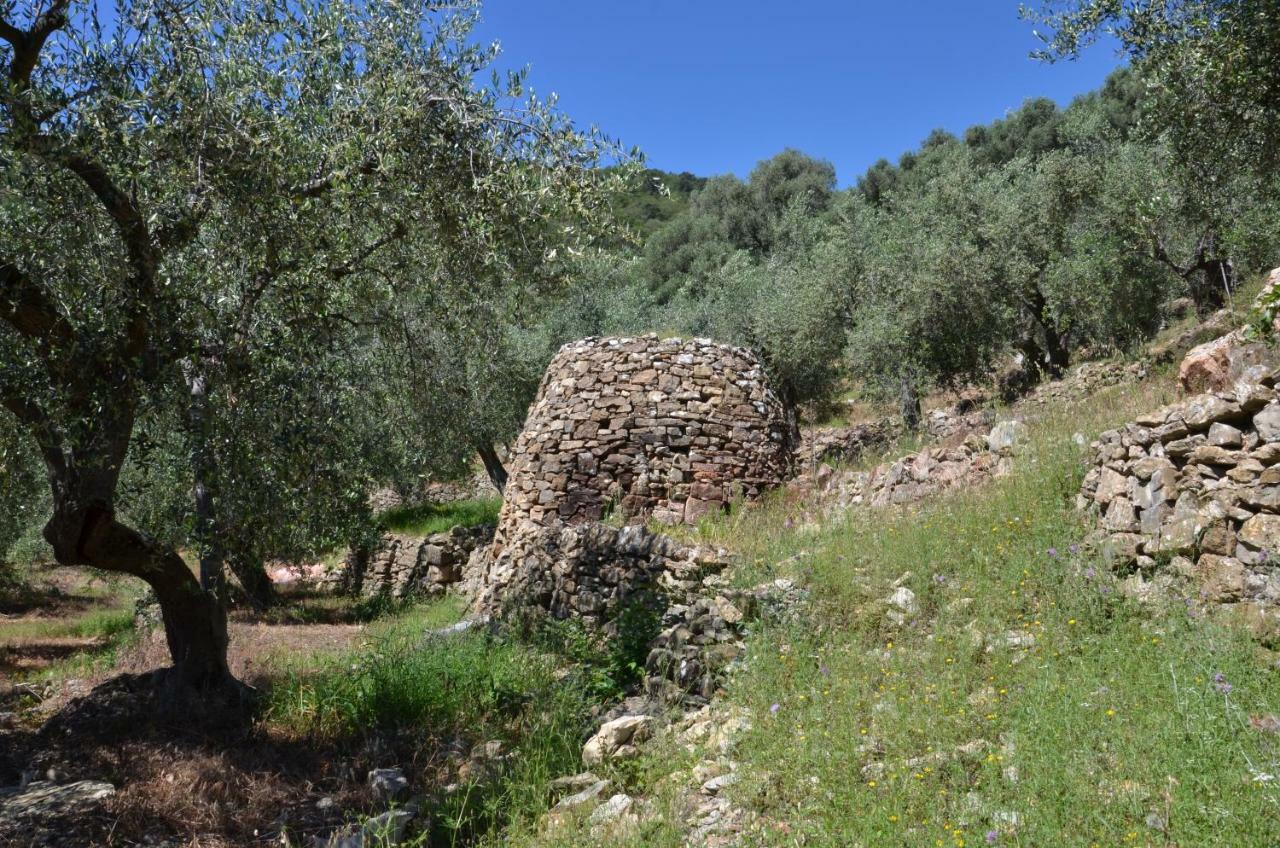 Agriturismo La Rocca San Bartolomeo Al Mare Luaran gambar